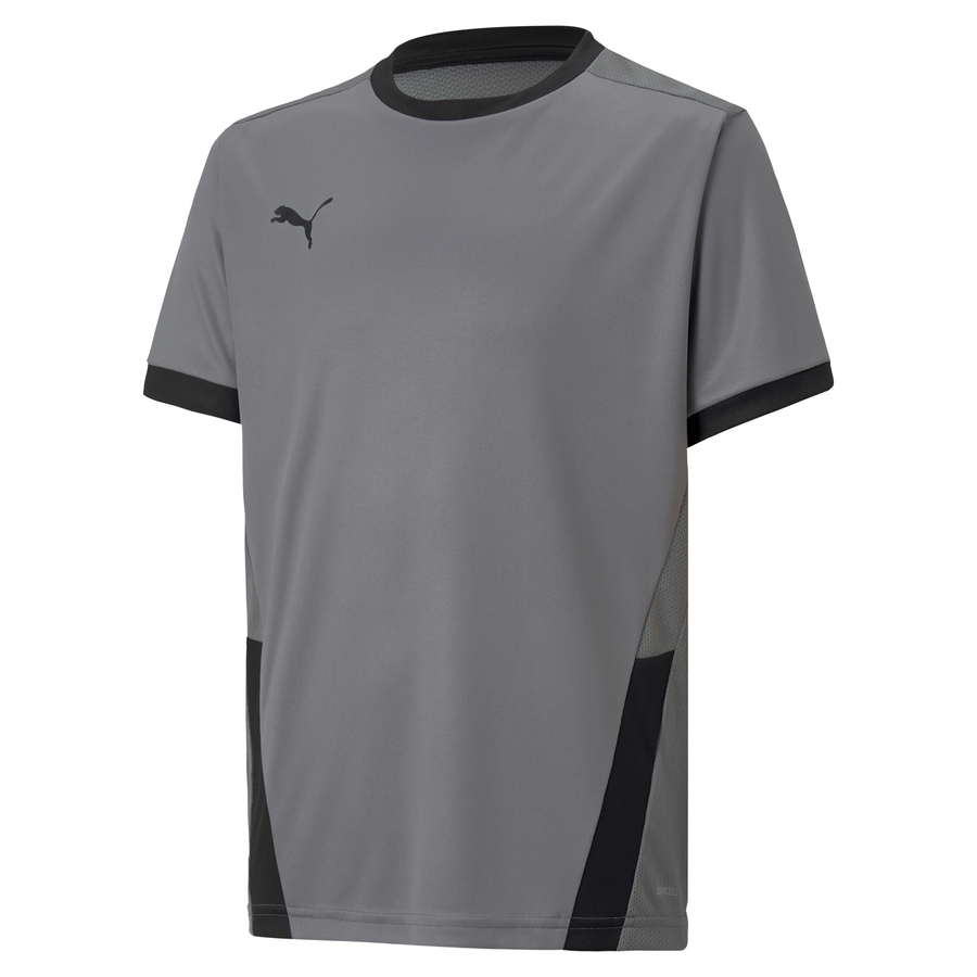 Puma Teamgoal Jersey Junior Tla Worldwide