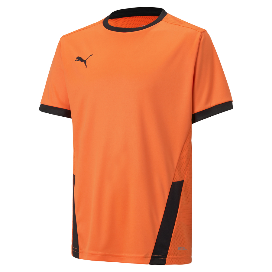 Puma Teamgoal Jersey Tla Worldwide