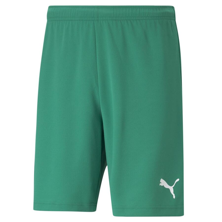 Puma Teamrise Shorts Tla Worldwide