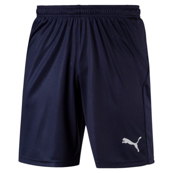 Puma Liga Shorts Tla Worldwide