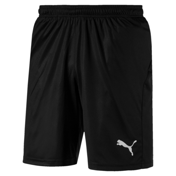 Puma Liga Shorts | TLA Worldwide