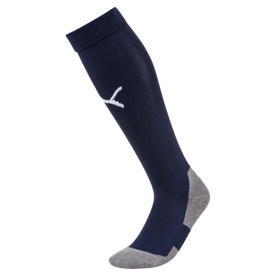 Puma Teamliga Socks | TLA Worldwide