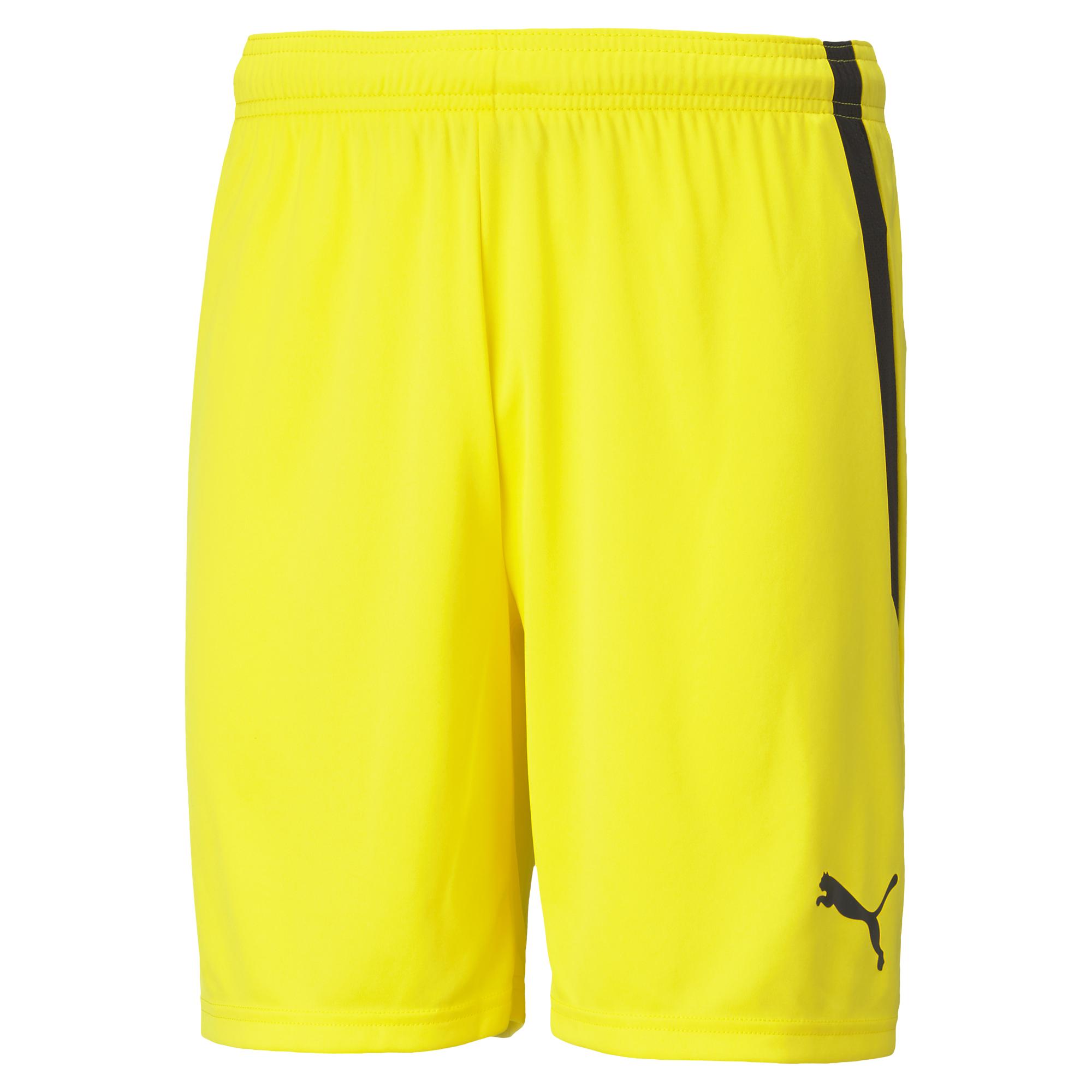 Puma Teamliga Shorts | TLA Worldwide