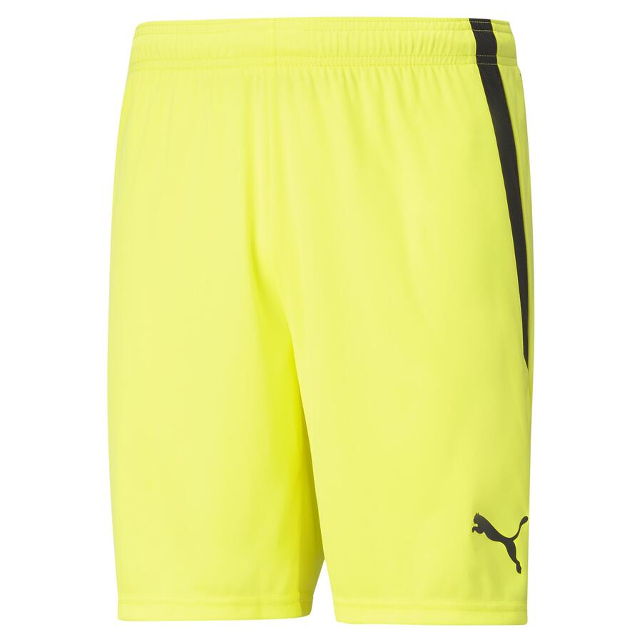 Puma Teamliga Shorts | TLA Worldwide